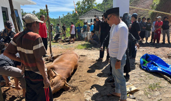 PT Samudera Banten Jaya Gelar Qurban 2 Sapi, Dapat Apresiasi MPC Pemuda Pancasila Lebak