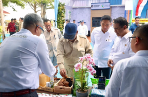 Presiden Prabowo Dorong PTPN Tingkatkan Produktivitas Gambir Rakyat