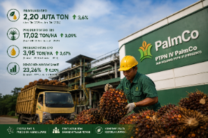 Transformasi PTPN IV PalmCo Berbuah Hasil, Produktivitas CPO dan TBS Meningkat Signifikan Hingga 2025