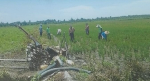 Kelompok Tani Sirennuang Ajukan PK, Minta PN Pasangkayu Tunda Eksekusi Lahan Sengketa